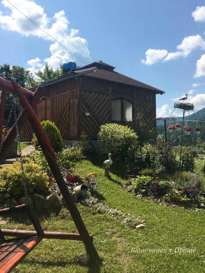Відпочинок У Пронів Hotel Szlavszke Kültér fotó